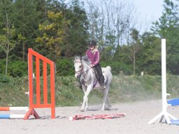 IMG_0594_web